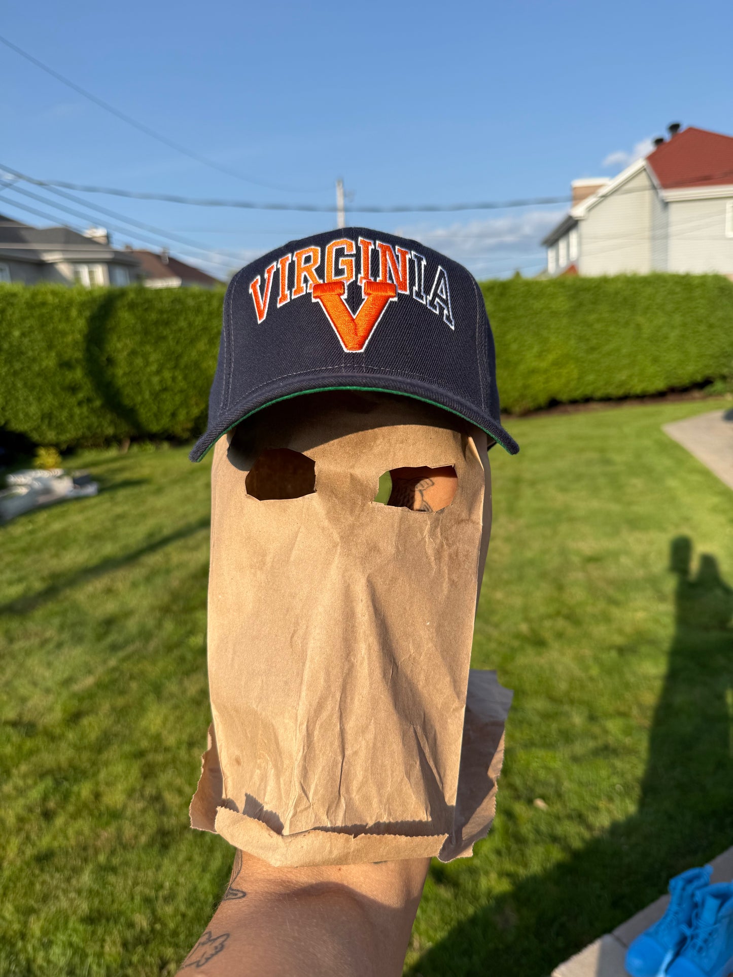 Prngrphy - VIRGINIA UNIVERSITY HAT
